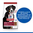 Hill's Science Plan Adult Large Cordero pienso para perros, , large image number null